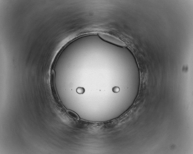 X0000100960148200807081250