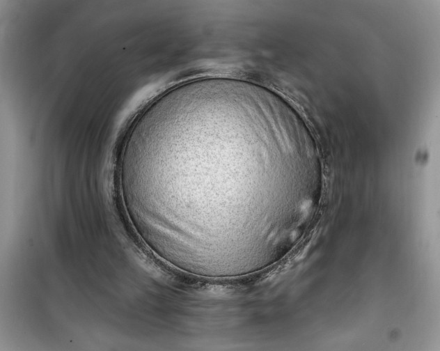 X0000100960149200807081250