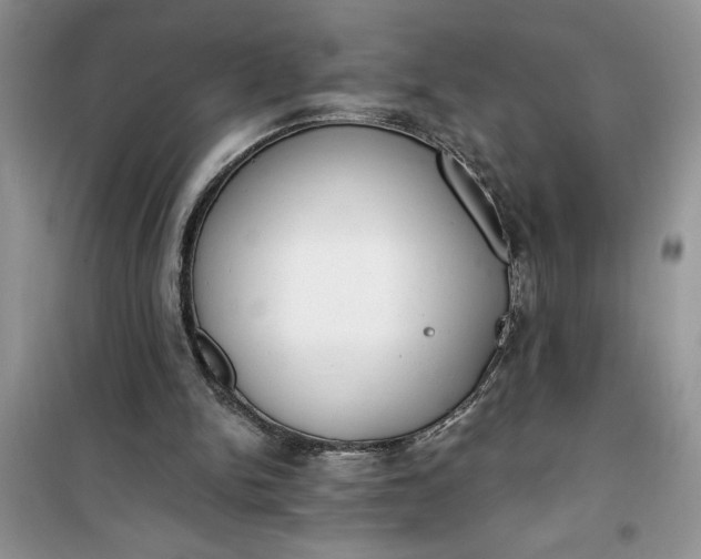 X0000100960150200807081250