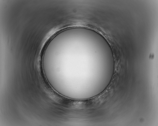 X0000100960152200807081250