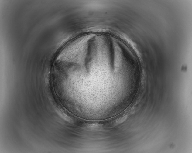 X0000100960153200807081250