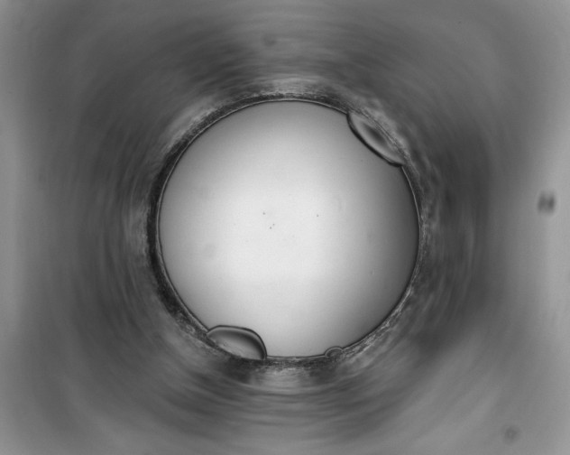 X0000100960154200807081250