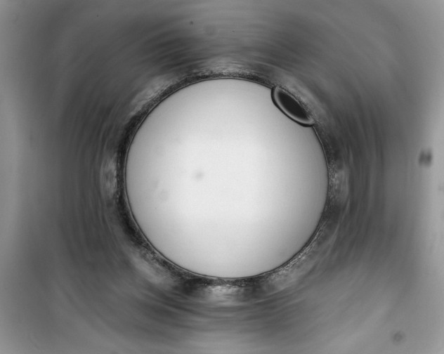 X0000100960158200807081250