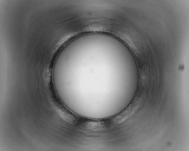 X0000100960160200807081250