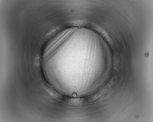 X0000100960161200807081250