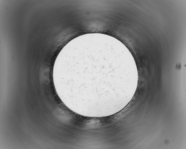 X0000100960162200807081250