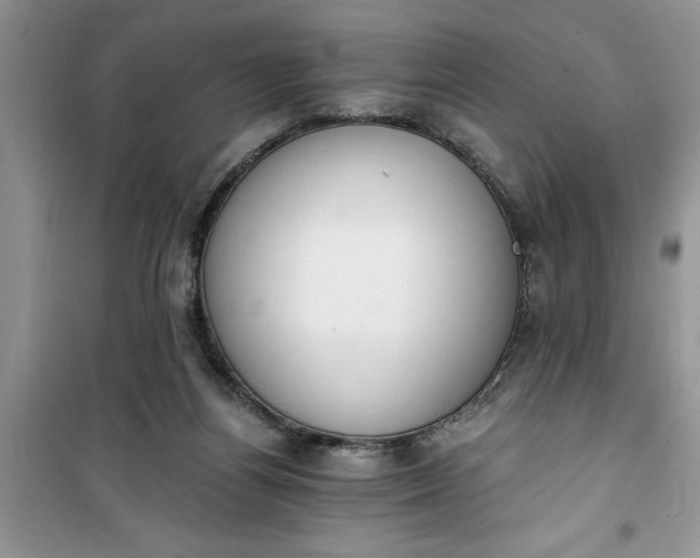 X0000100960164200807081250