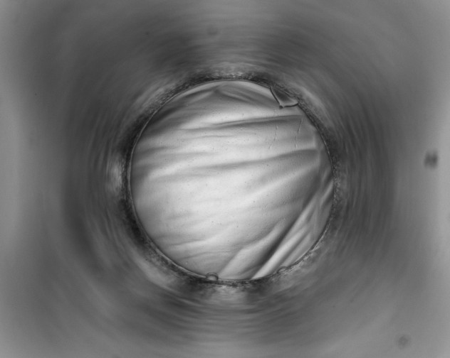 X0000100960166200807081250