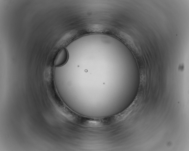 X0000100960167200807081250