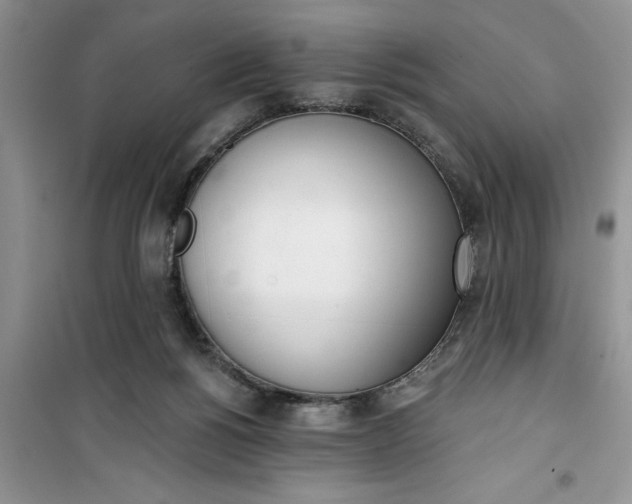 X0000100960168200807081250