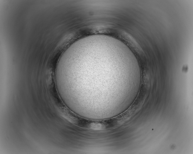 X0000100960169200807081250