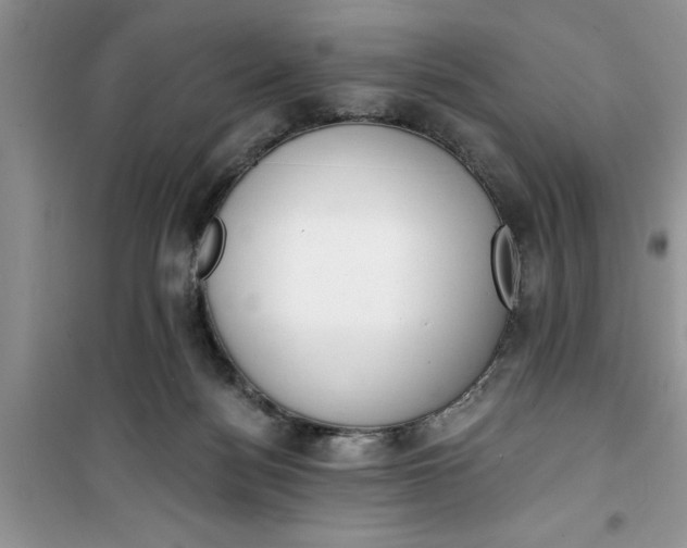 X0000100960172200807081250