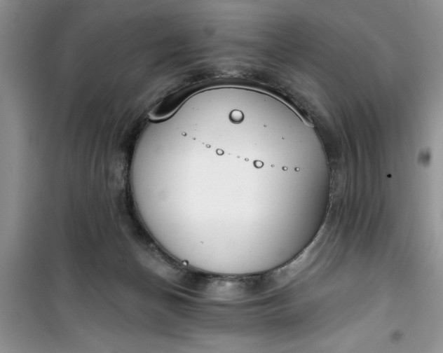 X0000100960174200807081250