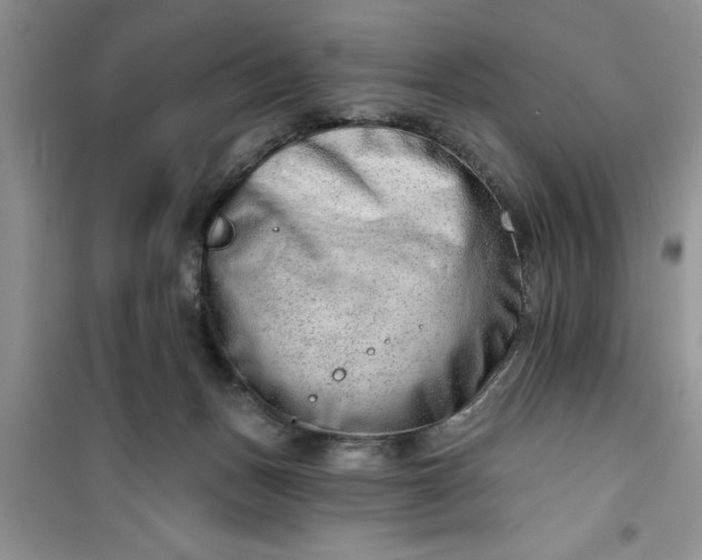 X0000100960175200807081250