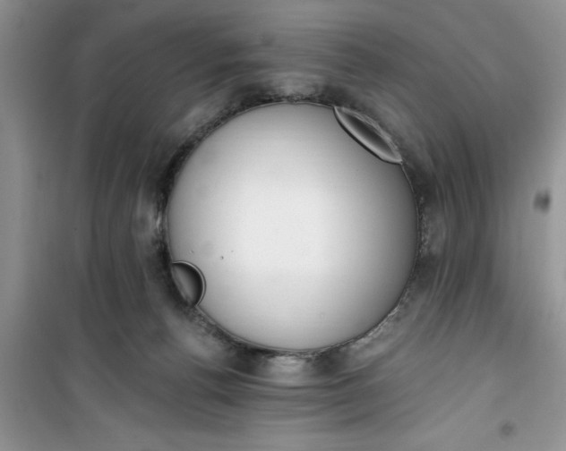 X0000100960176200807081250