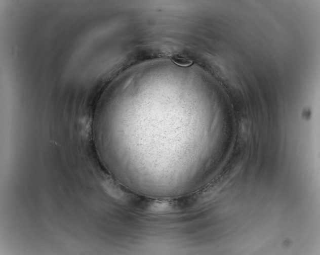 X0000100960177200807081250