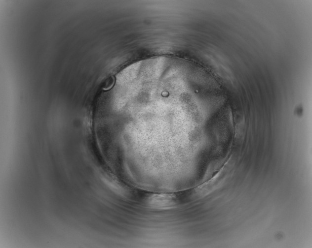 X0000100960179200807081250