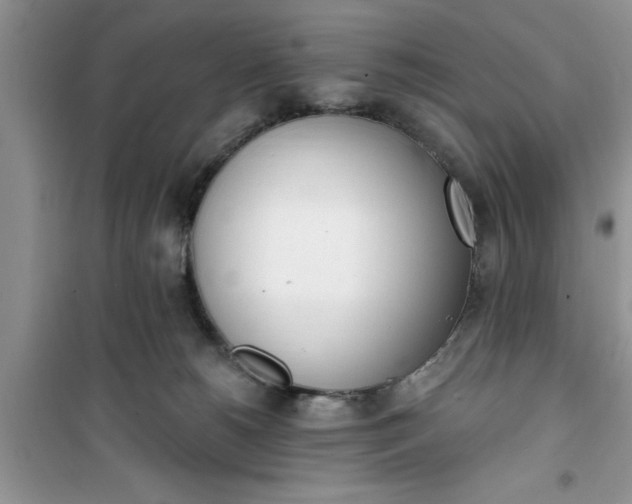 X0000100960180200807081250