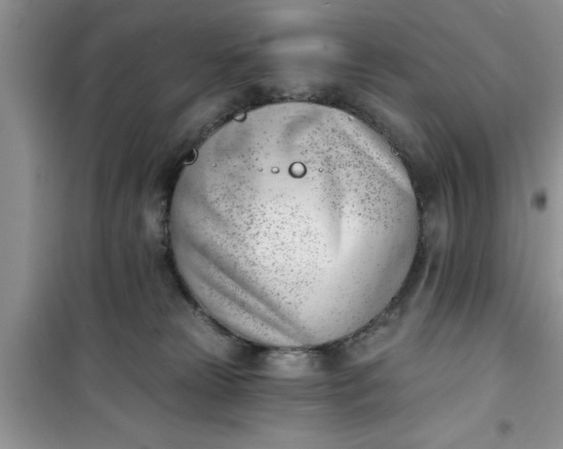 X0000100960181200807081250