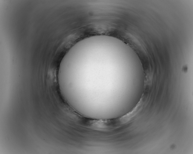 X0000100960182200807081250