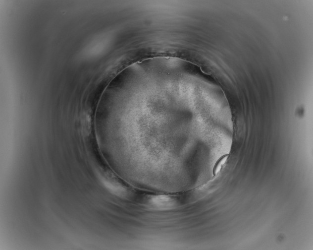 X0000100960183200807081250