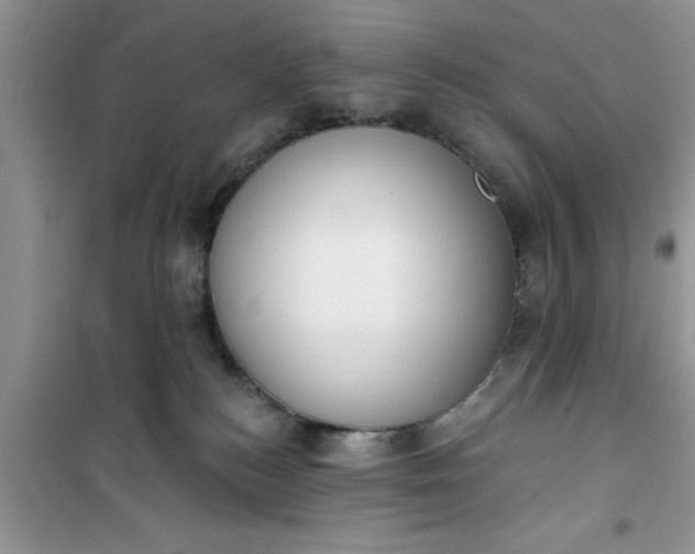 X0000100960184200807081250