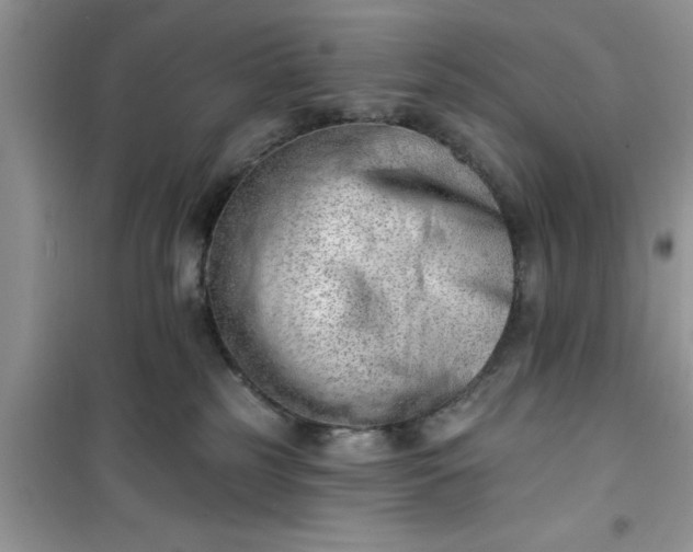 X0000100960185200807081250