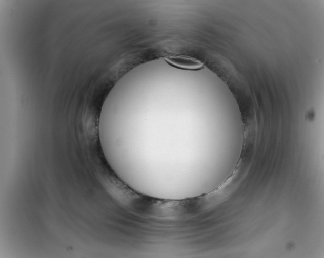 X0000100960186200807081250