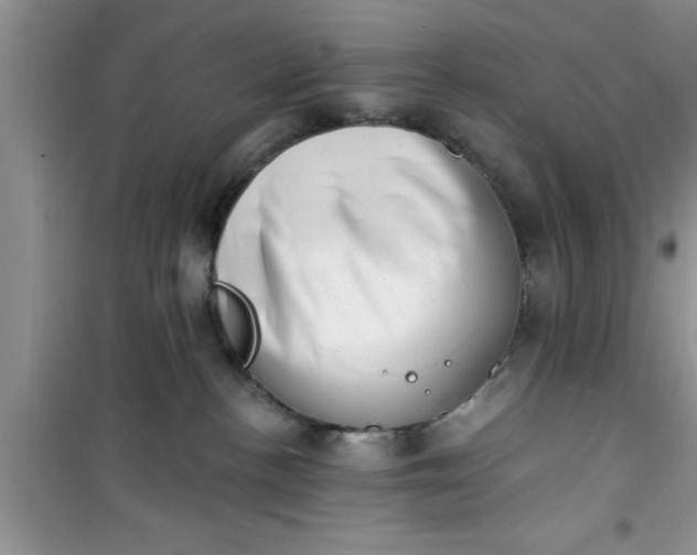 X0000100960188200807081250