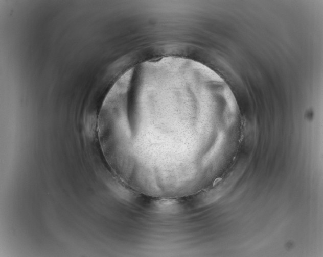 X0000100960189200807081250