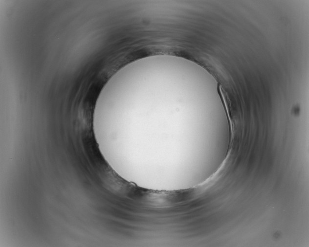 X0000100960190200807081250