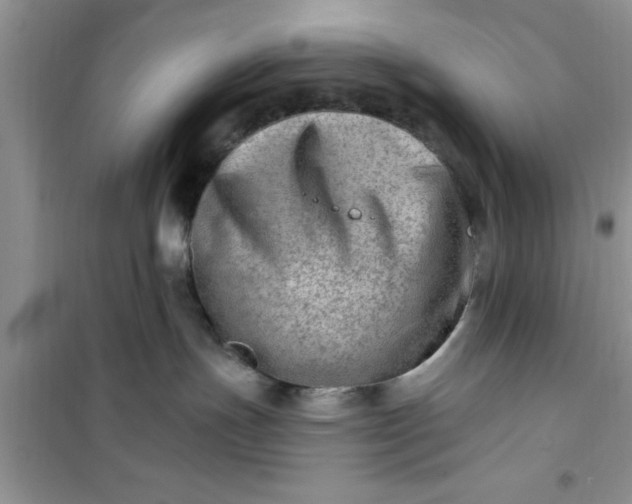 X0000100960191200807081250