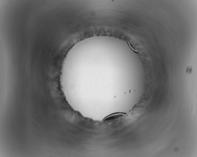 X0000100960192200807081250