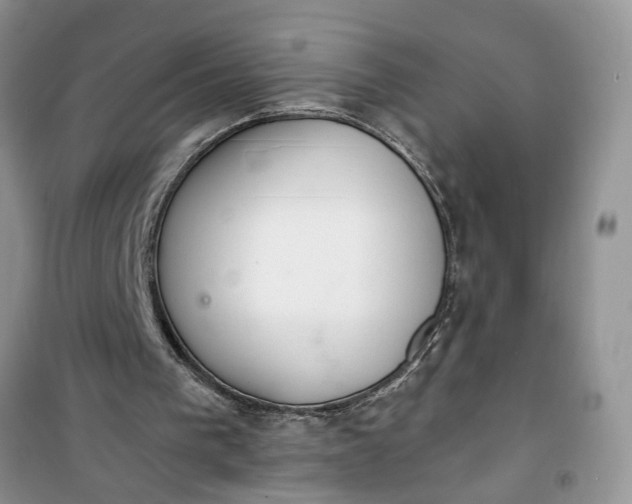 X0000100960193200807081249