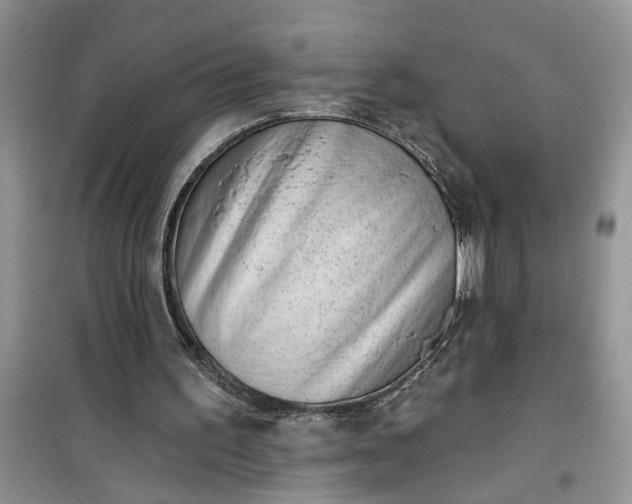 X0000100960195200807081249