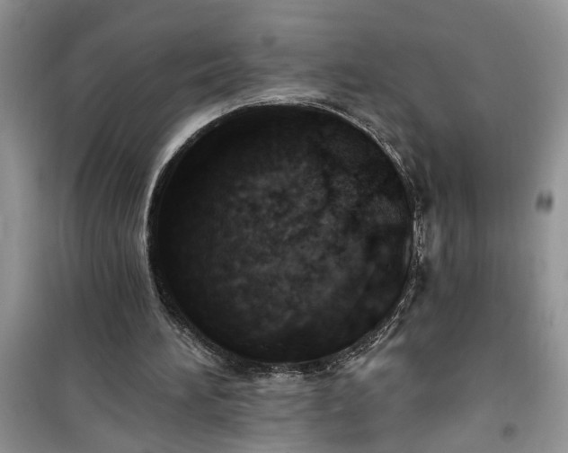 X0000100960196200807081249