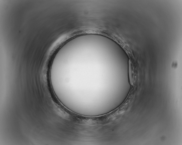 X0000100960197200807081249