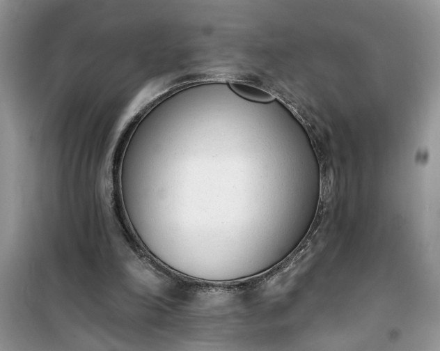 X0000100960198200807081249