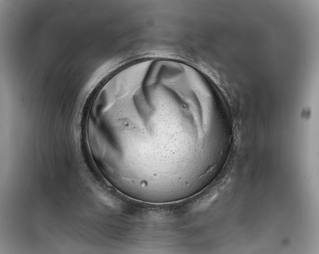 X0000100960199200807081249