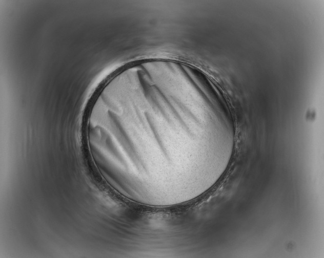 X0000100960200200807081249