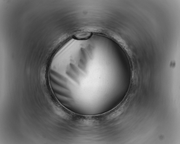 X0000100960201200807081249