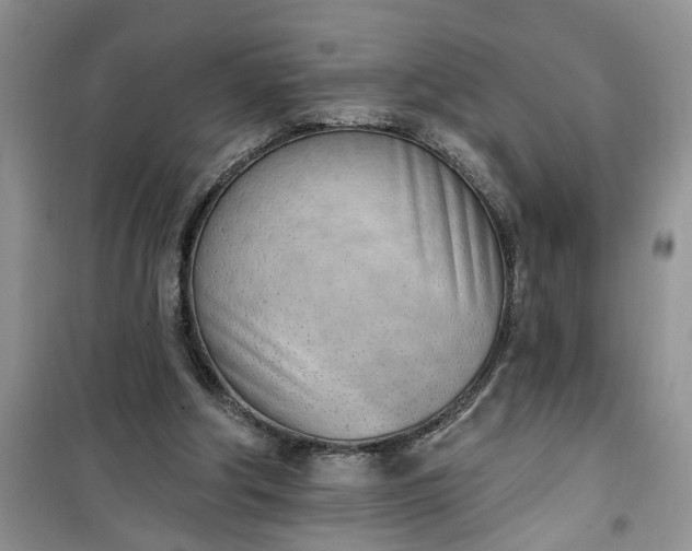 X0000100960202200807081249