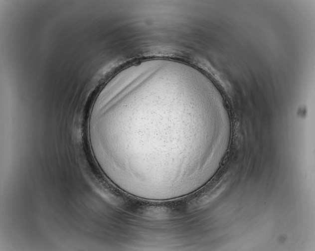 X0000100960203200807081249