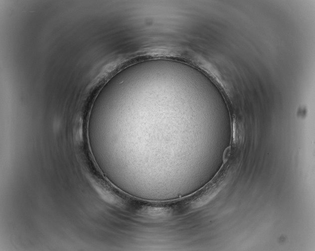 X0000100960205200807081249