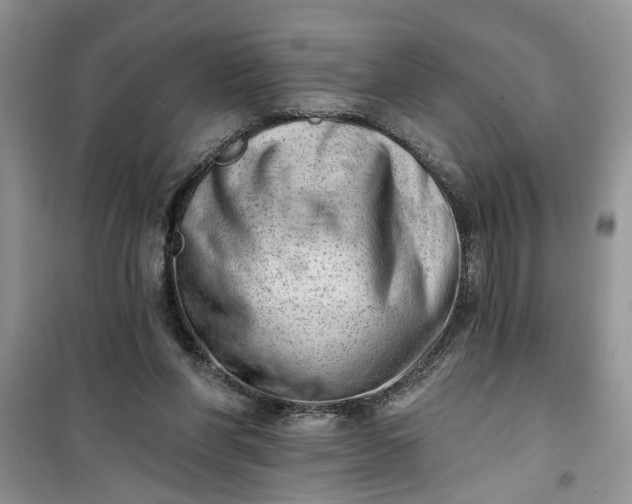 X0000100960206200807081249