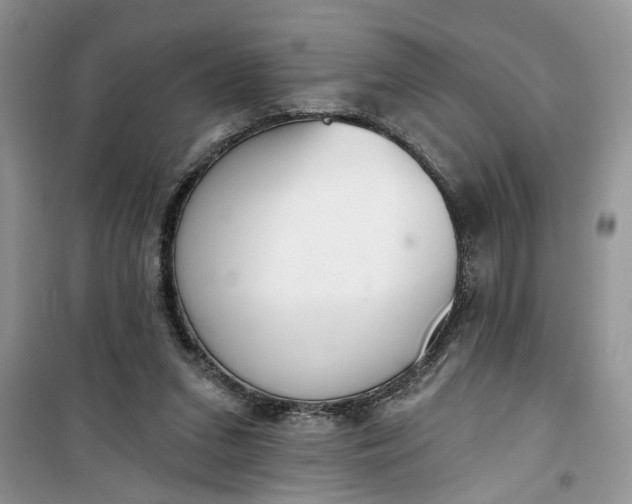 X0000100960207200807081249