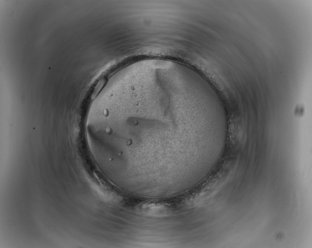 X0000100960208200807081249