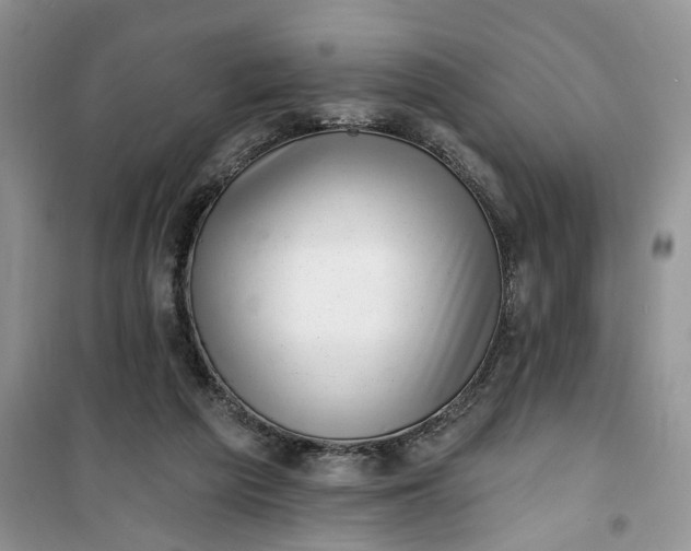 X0000100960209200807081249