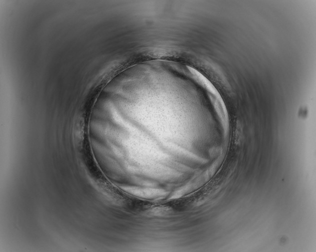 X0000100960210200807081249