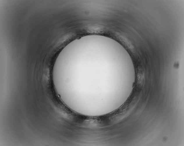 X0000100960211200807081249